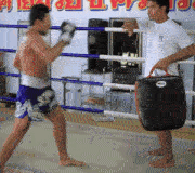 Patada baja de Muay Thai
